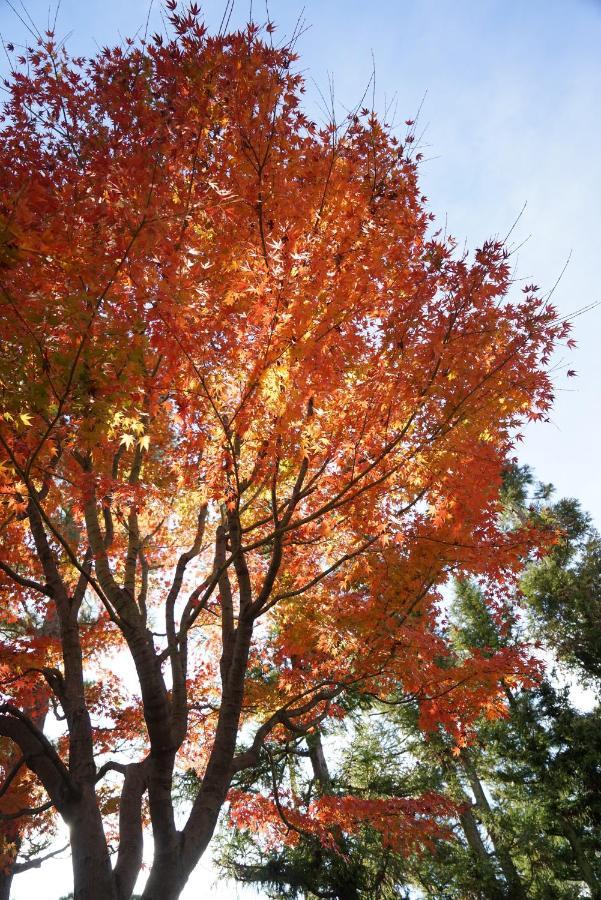 Japaning Senkyu Villa Kyoto Buitenkant foto